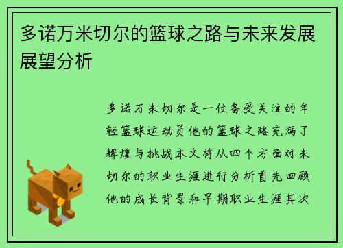 多诺万米切尔的篮球之路与未来发展展望分析
